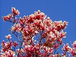 20070323 13.jpg
